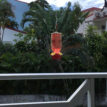 Le Colibri Lägenhet Les Anses-d'Arlets Exteriör bild