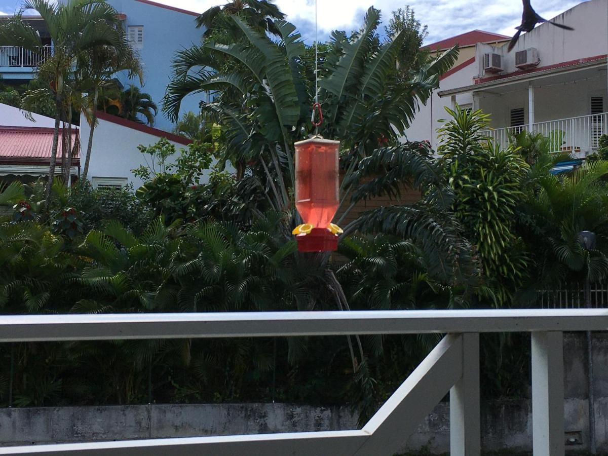 Le Colibri Lägenhet Les Anses-d'Arlets Exteriör bild
